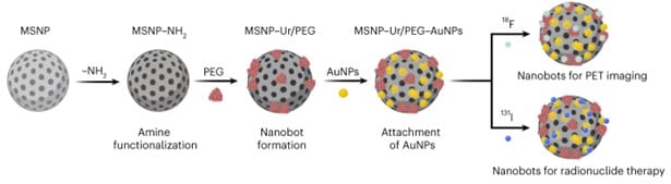 Esquema del proceso de síntesis de los nanobots